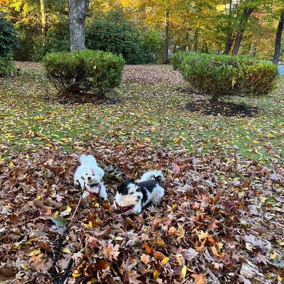 About me - Picture 7 of 7